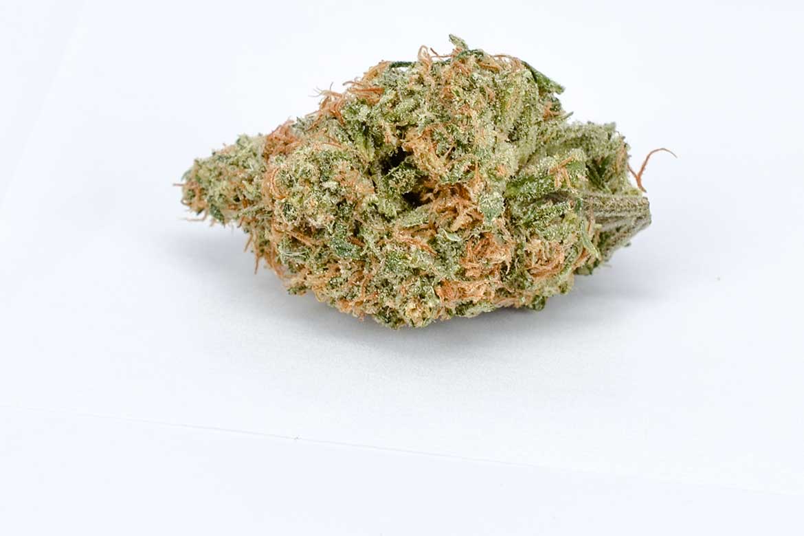 Laughing Buddha - Image 2